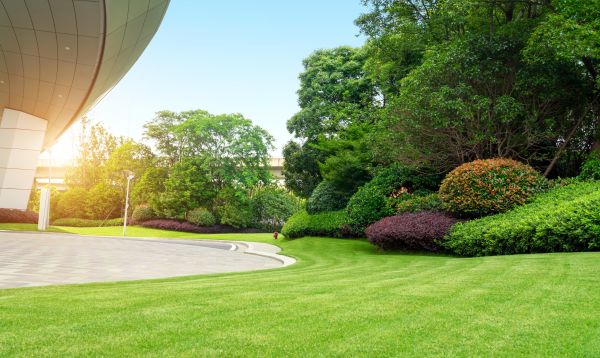 Cost of Commercial Lawn Mowing in Lake Zurich