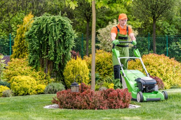 Cost of Yard Service in Lake Zurich