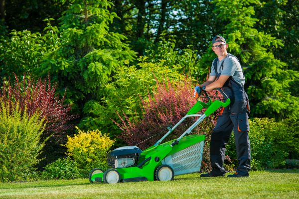 Cost of Yard Work Service in Lake Zurich