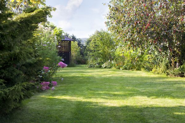 Cost of Yard Upkeep Service in Lake Zurich