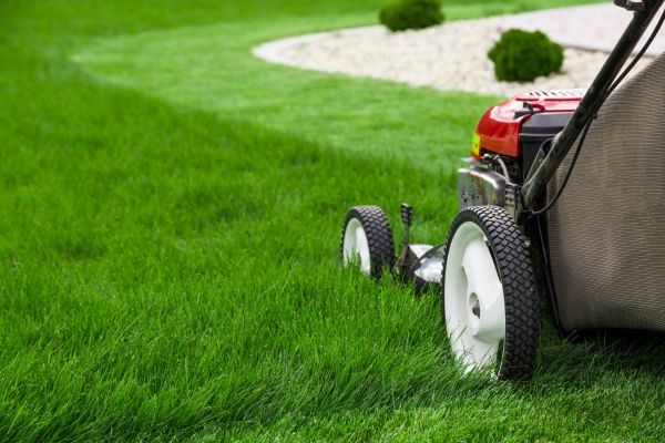 Cost of Lawn Service in Lake Zurich
