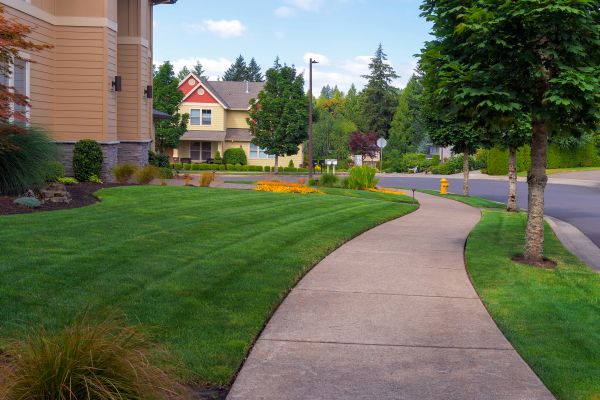 Cost of Home Lawn Maintenance in Lake Zurich