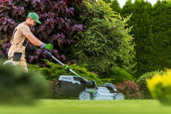Cost of Lawn Management in Lake Zurich