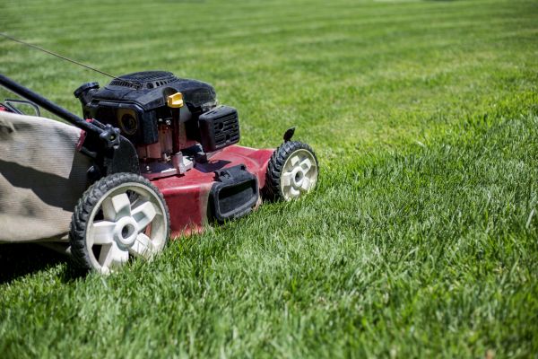 Cost of Routine Lawn Care in Lake Zurich