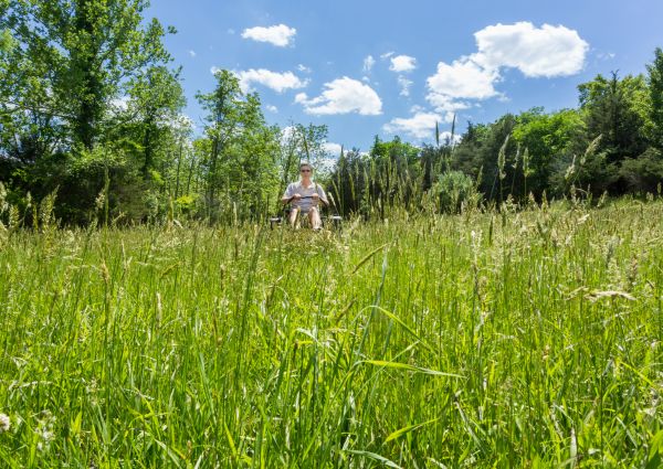 Cost of Long Grass Mowing in Lake Zurich