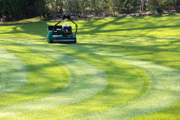 Cost of Business Lawn Mowing in Lake Zurich