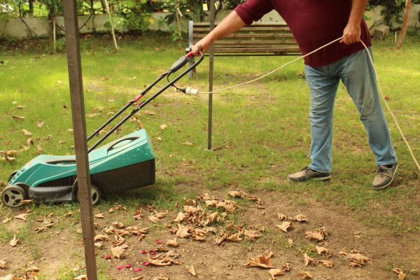 Cost of Leaves Mowing in Lake Zurich