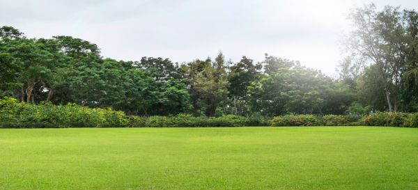 Cost of Golf Course Mowing in Lake Zurich