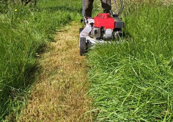 Cost of Leaf Mowing in Lake Zurich