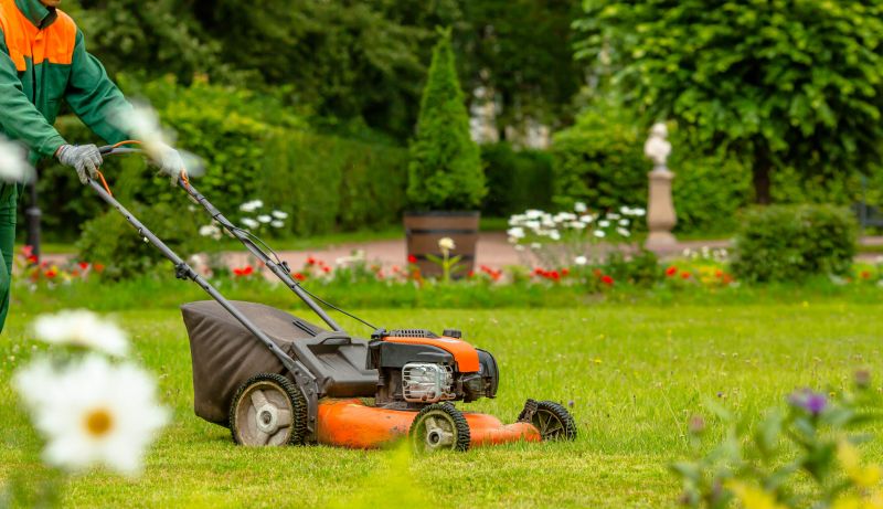 Hiring a Lawn Mowing Professional