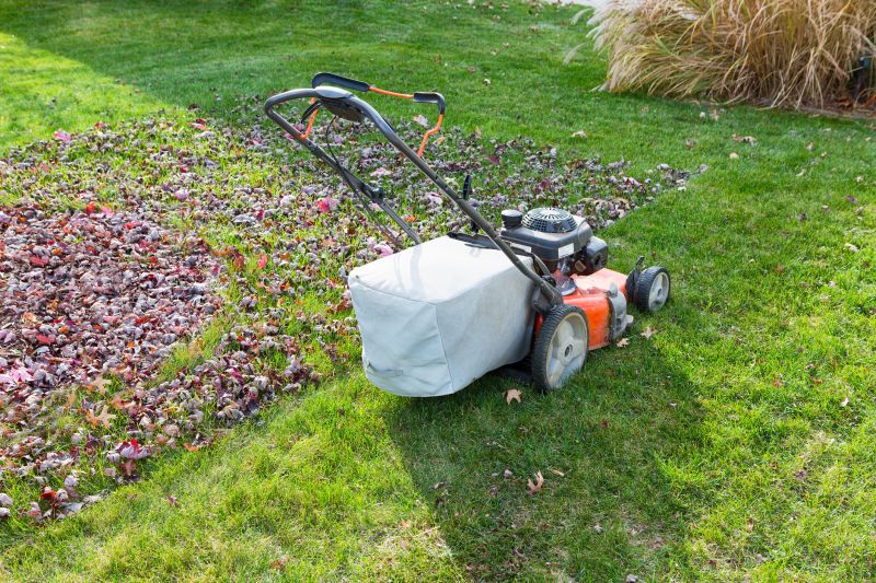 Best Time to Hire for Lawn Mowing