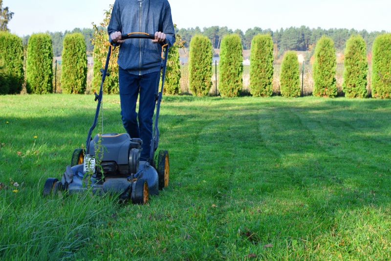 Preparing Your Lawn for Service