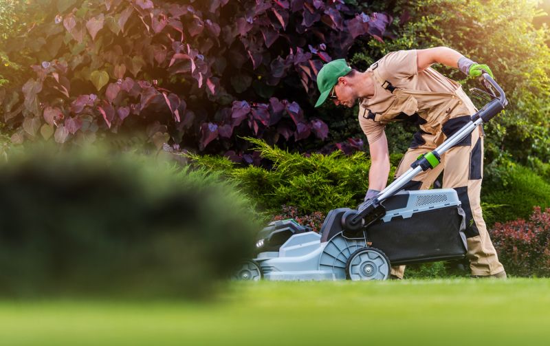 Local Lawn Care Companies