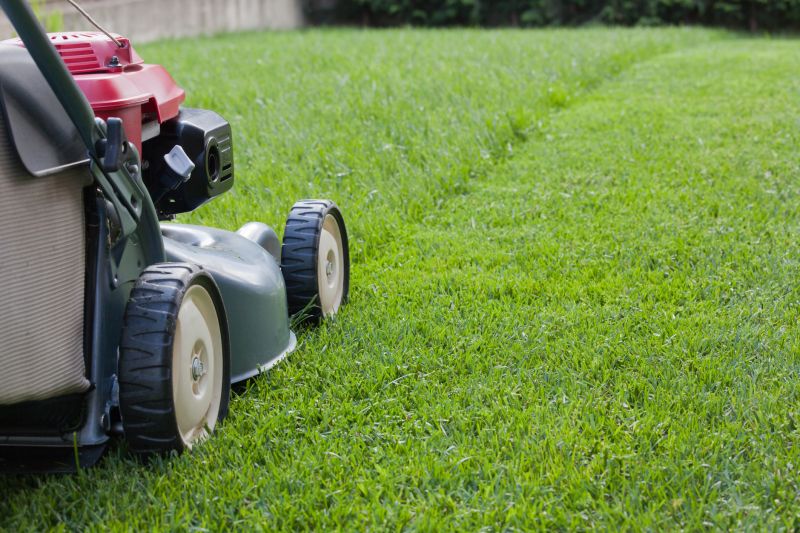 Subscription Lawn Services